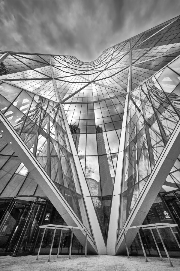 The Bow by Andrew Wasik